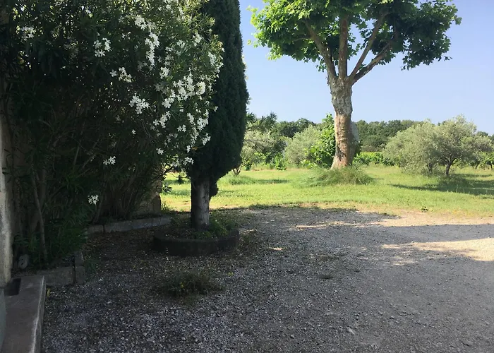 Gite Des Amis Domaine De Mas Caron