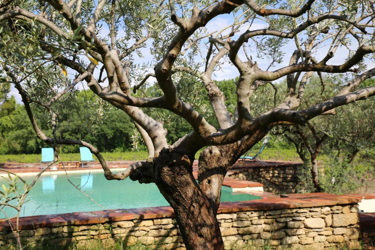 Ferienhaus Des Amis Domaine De Mas Caron Caromb
