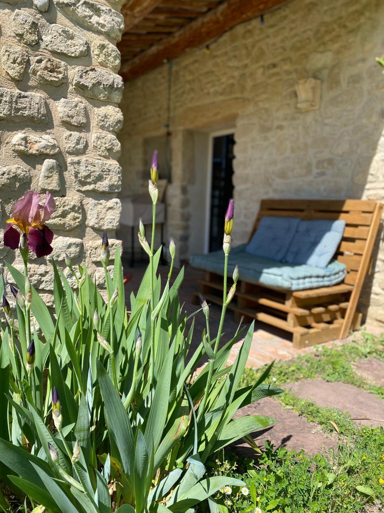 Ferienhaus Des Amis Domaine De Mas Caron *